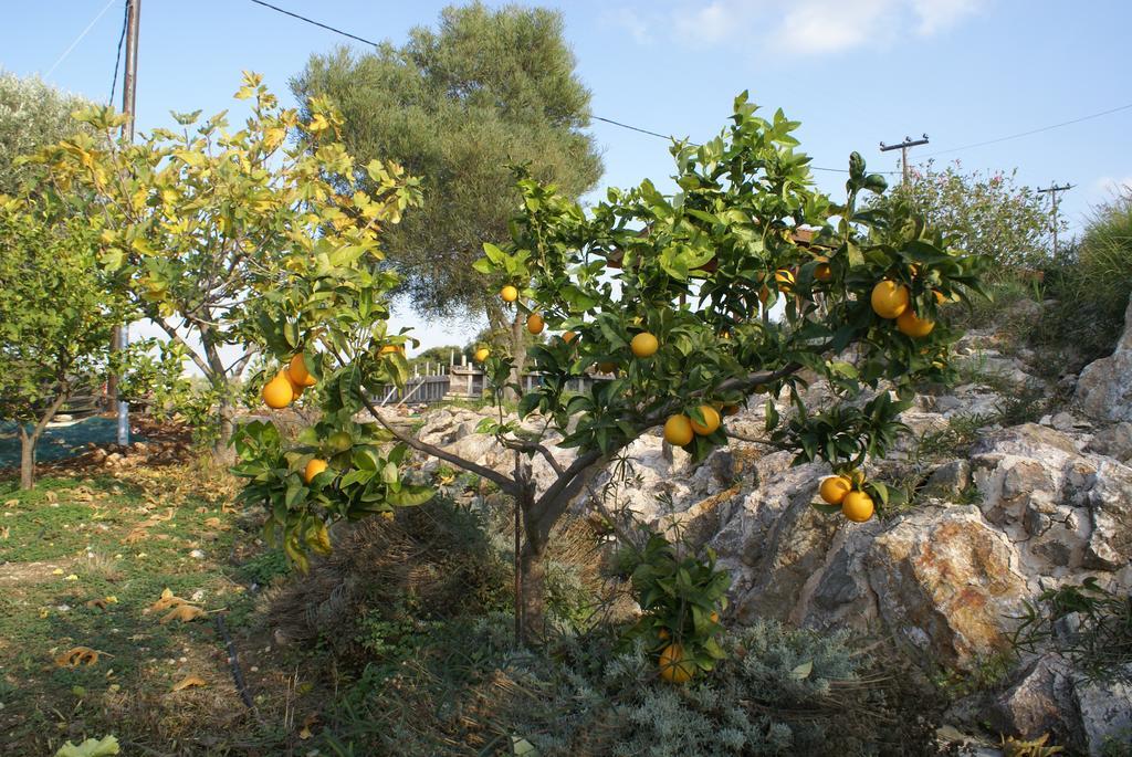 O Ioannis Villa Kritinía Buitenkant foto