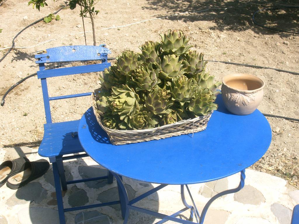 O Ioannis Villa Kritinía Buitenkant foto