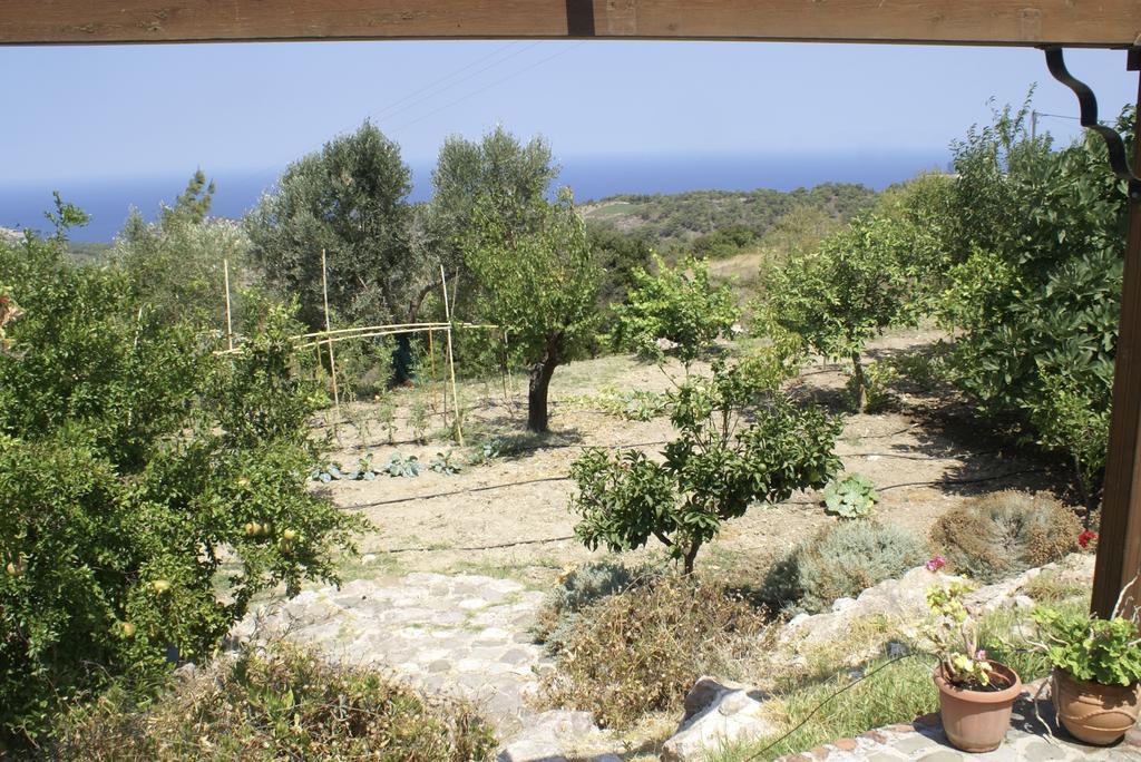 O Ioannis Villa Kritinía Buitenkant foto